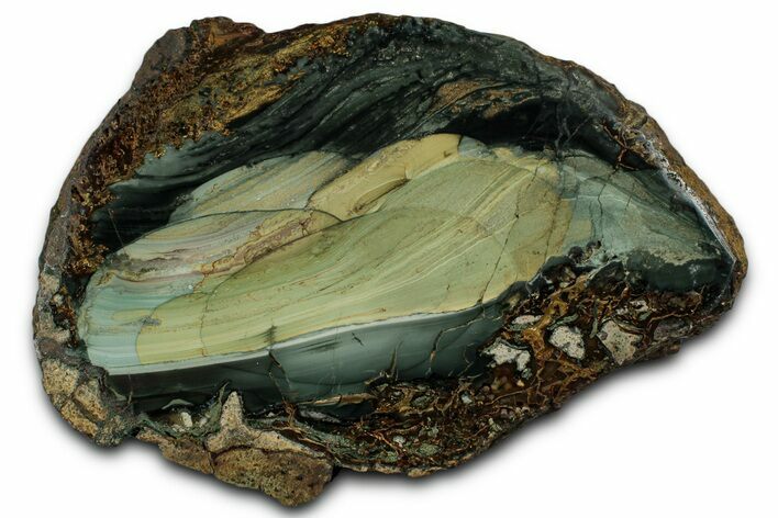 Polished Slab of Blue Mountain Jasper - Oregon #355269